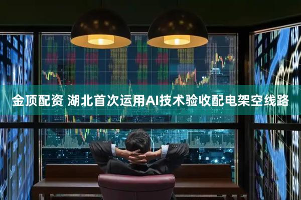 金顶配资 湖北首次运用AI技术验收配电架空线路