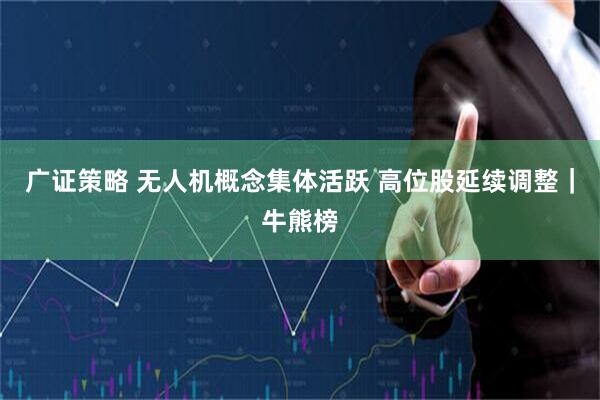 广证策略 无人机概念集体活跃 高位股延续调整｜牛熊榜