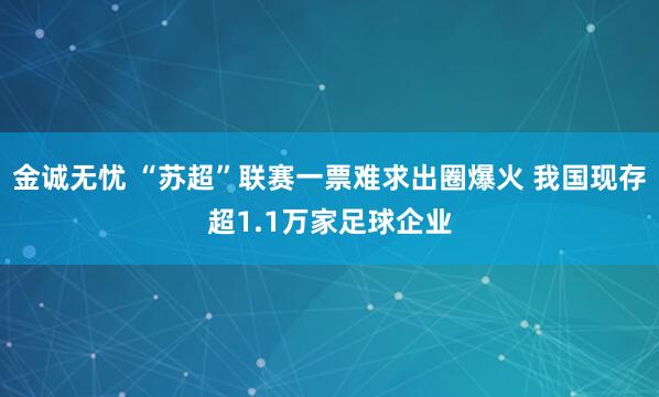 金诚无忧 “苏超”联赛一票难求出圈爆火 我国现存超1.1万家足球企业