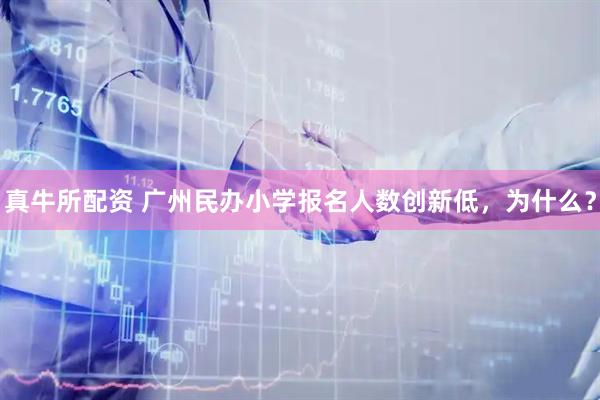 真牛所配资 广州民办小学报名人数创新低，为什么？