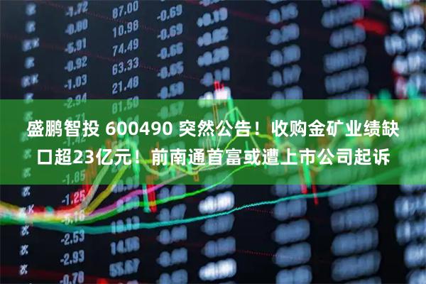 盛鹏智投 600490 突然公告！收购金矿业绩缺口超23亿元！前南通首富或遭上市公司起诉