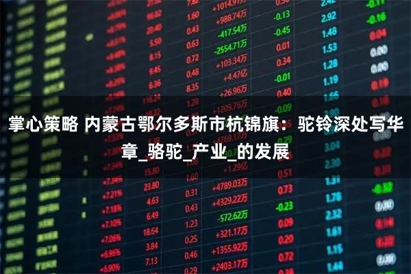 掌心策略 内蒙古鄂尔多斯市杭锦旗：驼铃深处写华章_骆驼_产业_的发展